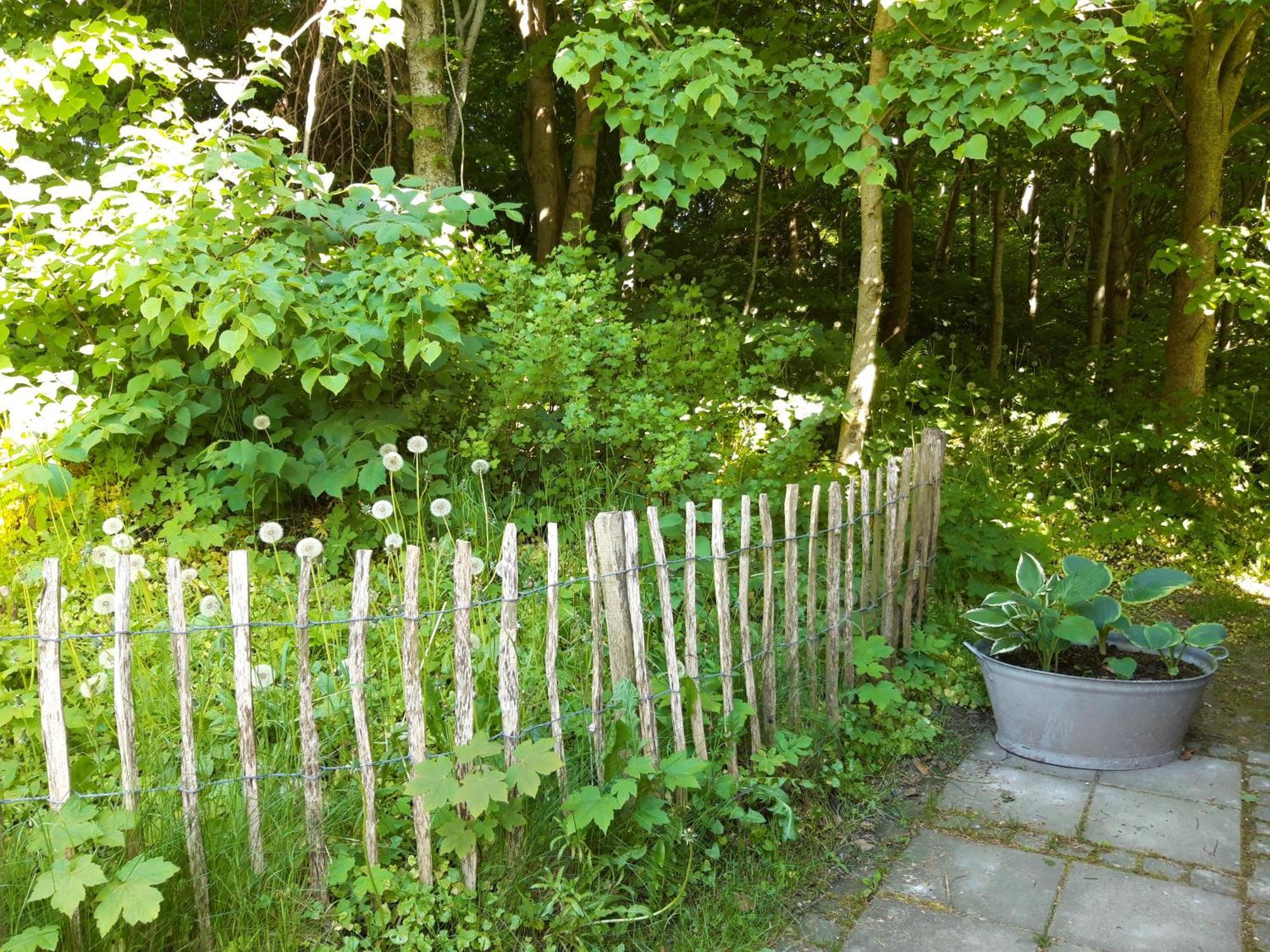 Krogsgaarden B&B Nibe Luaran gambar